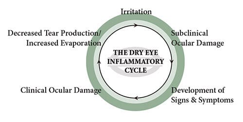Dry Eye Cycle